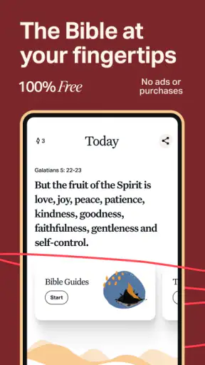 Holy Bible Offline NIV KJV App screenshot