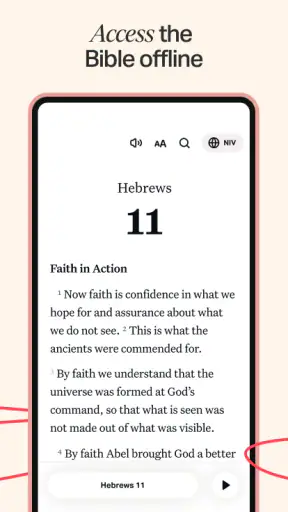 Holy Bible Offline NIV KJV App screenshot