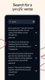 Holy Bible Offline NIV KJV App screenshot 4
