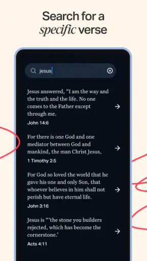 Holy Bible Offline NIV KJV App screenshot