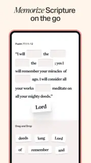 Holy Bible Offline NIV KJV App screenshot 7
