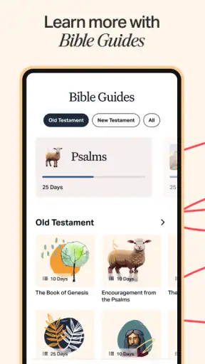 Holy Bible Offline NIV KJV App screenshot