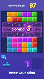 Block Puzzle Blast Color Combo screenshot 6