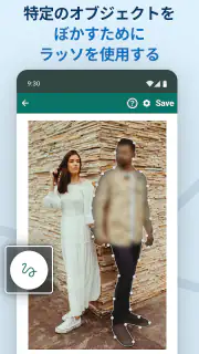 Blur Video & Image screenshot 3
