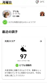 Catlog screenshot 2