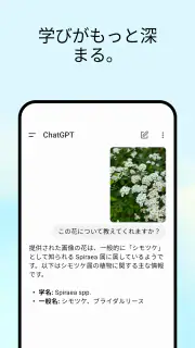 ChatGPT screenshot 4