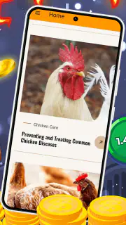 Chicken Road screenshot 3