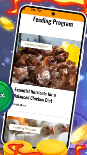 Chicken Road screenshot 4