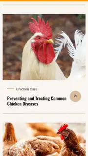 Chicken Road screenshot 5