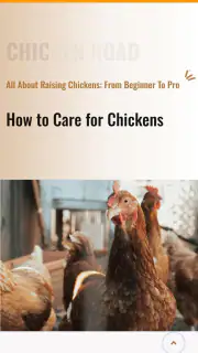 Chicken Road screenshot 6