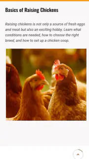 Chicken Road screenshot 7