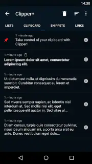 Clipper+: Clipboard Manager screenshot 2