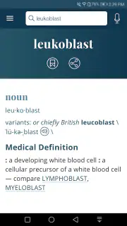 Dictionary - Merriam-Webster screenshot 6