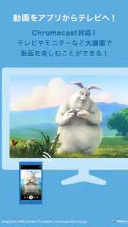 DMM動画プレイヤー screenshot 3