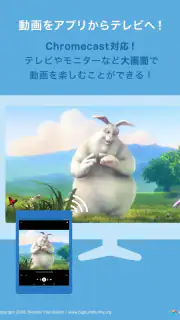 DMM動画プレイヤー screenshot 6