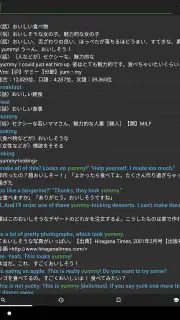 Eijiroid (英和・和英辞書) screenshot 8