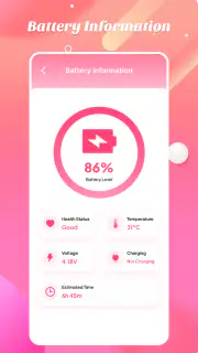 FastSweeper Clean screenshot 4