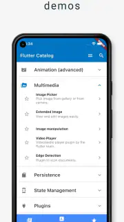 Flutter Catalog screenshot 2