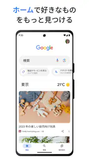 Google screenshot 1