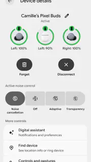 Google Pixel Buds screenshot 1