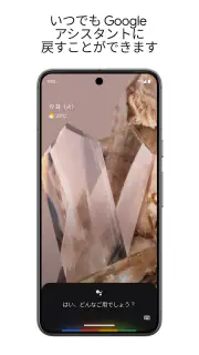 Google アシスタント screenshot 6