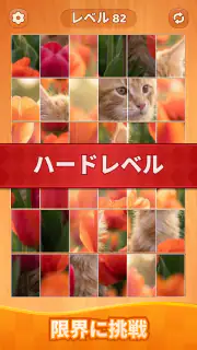 JigFlip: Solitaire Sort Puzzle screenshot 8