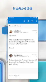 Microsoft Outlook screenshot 5