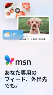 MSN screenshot 1