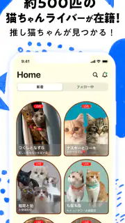 nekochan - 猫だけのライブ配信で癒されよう！ screenshot 2