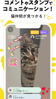 nekochan - 猫だけのライブ配信で癒されよう！ screenshot 3