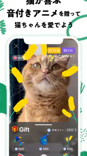 nekochan - 猫だけのライブ配信で癒されよう！ screenshot 4