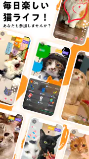 nekochan - 猫だけのライブ配信で癒されよう！ screenshot 5