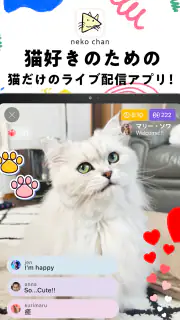 nekochan - 猫だけのライブ配信で癒されよう！ screenshot 6