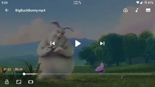 Next Player screenshot 6