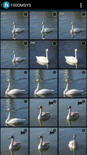 OM Image Share screenshot 3
