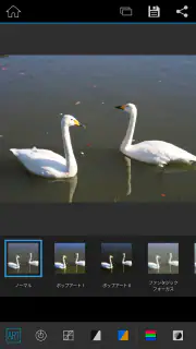OM Image Share screenshot 4