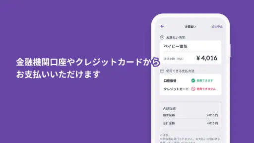 PayB screenshot 3