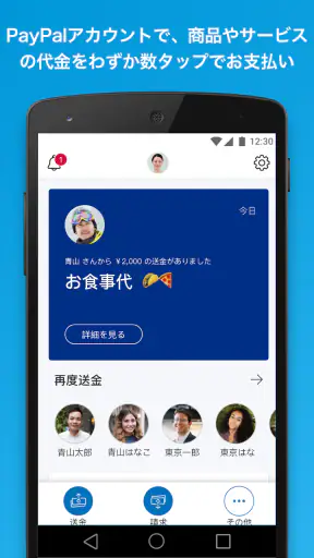 PayPal screenshot