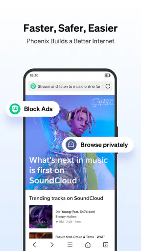 Phoenix Browser - 高速で安全 screenshot