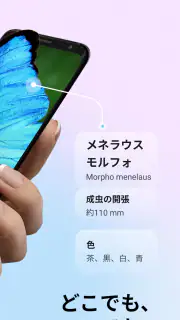Picture Insect：撮ったら、判る-1秒昆虫図鑑 screenshot 2