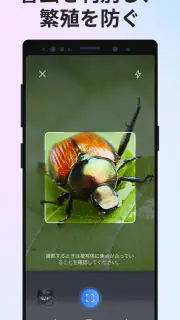 Picture Insect：撮ったら、判る-1秒昆虫図鑑 screenshot 4