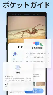 Picture Insect：撮ったら、判る-1秒昆虫図鑑 screenshot 5