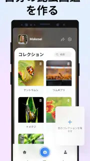 Picture Insect：撮ったら、判る-1秒昆虫図鑑 screenshot 6
