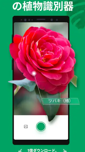 PictureThis：撮ったら、判る-1秒植物図鑑 screenshot