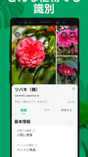 PictureThis：撮ったら、判る-1秒植物図鑑 screenshot 2