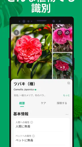 PictureThis：撮ったら、判る-1秒植物図鑑 screenshot