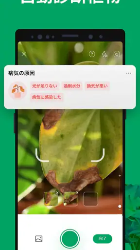 PictureThis：撮ったら、判る-1秒植物図鑑 screenshot