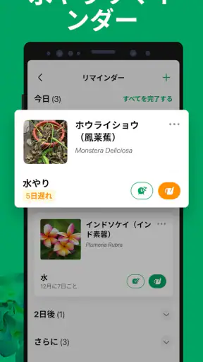 PictureThis：撮ったら、判る-1秒植物図鑑 screenshot