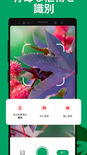 PictureThis：撮ったら、判る-1秒植物図鑑 screenshot