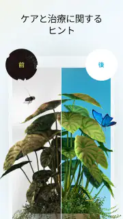 Plant App - 植物識別子 screenshot 4